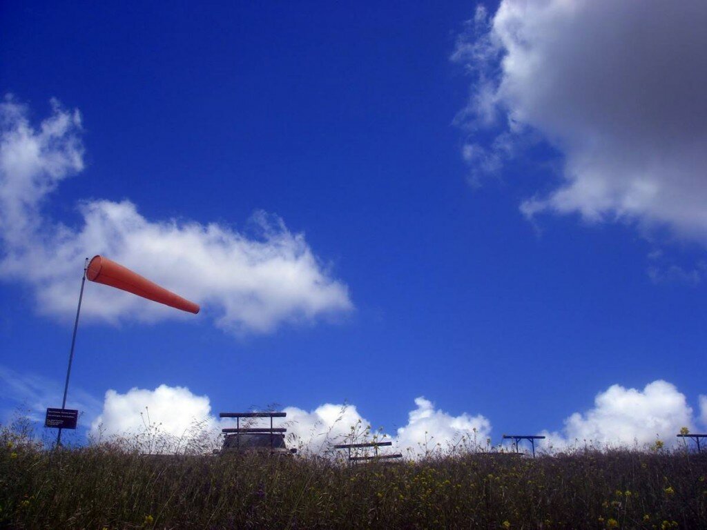 wind