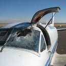 BIRDSTRIKE!