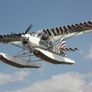 Flight Files: Da Bushcat