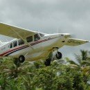 Airborne Ambos – Snake Bite!