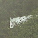 Wreckage Recovered